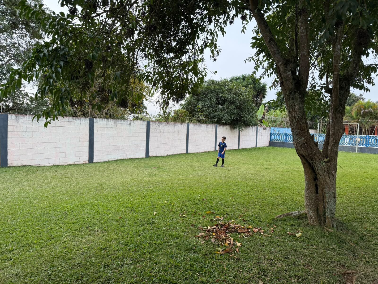 Quadra de futebol gramada com trave